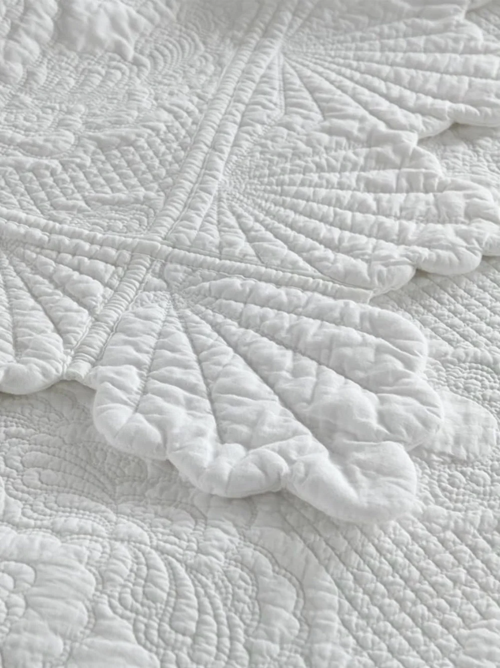 Camandy crisp white
